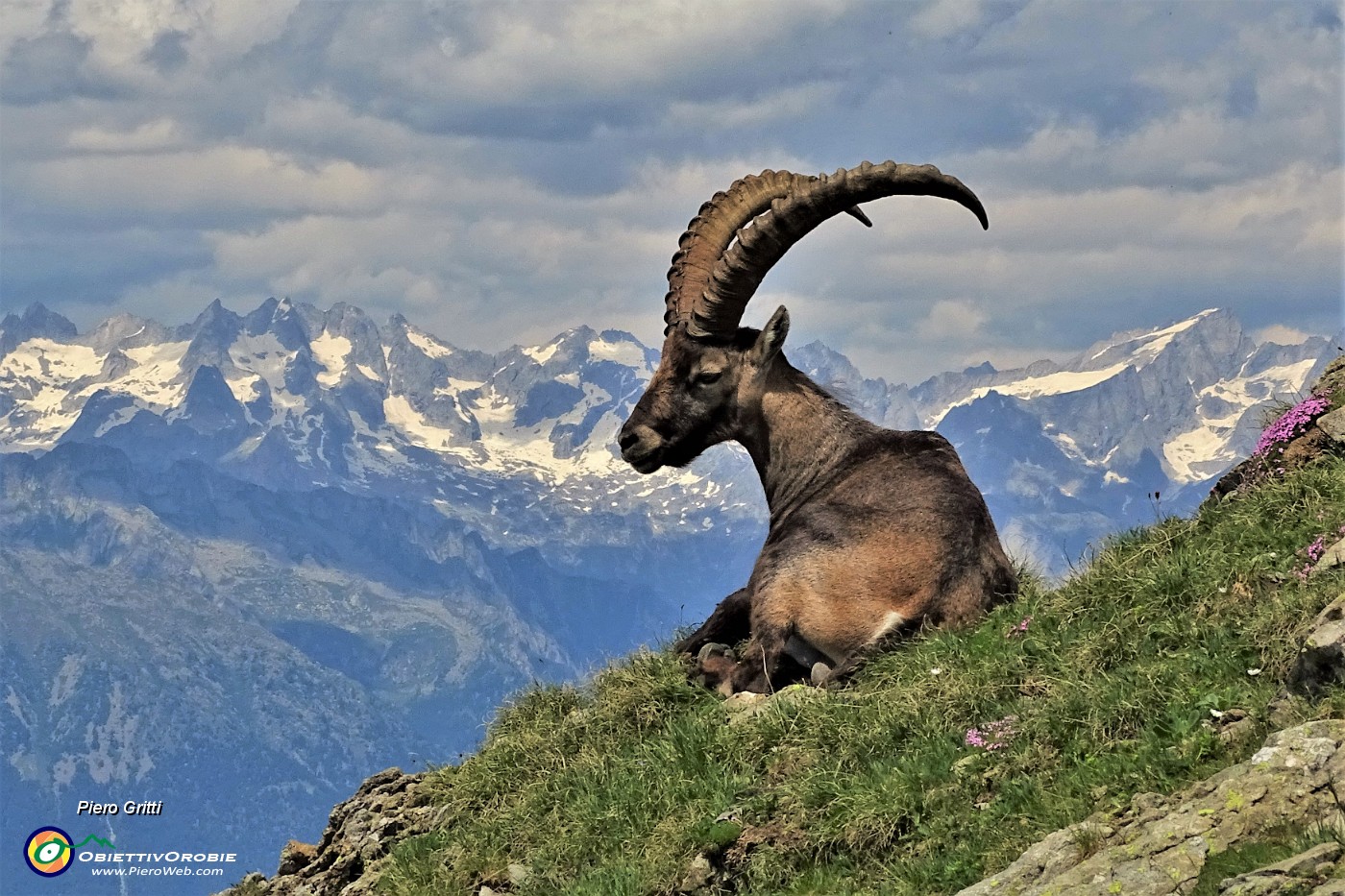 05 Con gli stambecchi alla Bocchetta e Pizzo Paradiso (2493 m) vista verso le Alpi Retiche .JPG